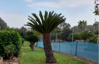 Captura_de_pantalla_2025-06-19_101424